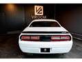 Dodge Challenger 6,4 V8 BM6 SRT8 477cv Blanco - thumbnail 11