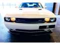 Dodge Challenger 6,4 V8 BM6 SRT8 477cv Weiß - thumbnail 9