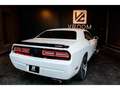 Dodge Challenger 6,4 V8 BM6 SRT8 Weiß - thumbnail 10