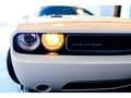 Dodge Challenger 6,4 V8 BM6 SRT8 Weiß - thumbnail 7