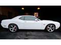 Dodge Challenger 6,4 V8 BM6 SRT8 477cv Weiß - thumbnail 20