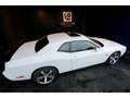 Dodge Challenger 6,4 V8 BM6 SRT8 Weiß - thumbnail 18