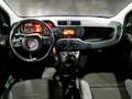Fiat Panda 1.0 70cv S&S Hybrid E6d-T Easy 5 PORTE - thumbnail 7