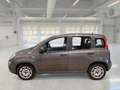 Fiat Panda 1.0 70cv S&S Hybrid E6d-T Easy 5 PORTE - thumbnail 5