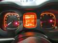 Fiat Panda 1.0 70cv S&S Hybrid E6d-T Easy 5 PORTE - thumbnail 8