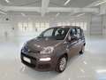 Fiat Panda 1.0 70cv S&S Hybrid E6d-T Easy 5 PORTE - thumbnail 1