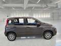 Fiat Panda 1.0 70cv S&S Hybrid E6d-T Easy 5 PORTE - thumbnail 3