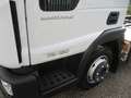 Iveco Sonstige EUROCARGO 75-190 EURO 6 TELAIO P.3690 220000 KM Weiß - thumbnail 4