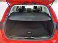 Ford Focus Turnier 1,5 EcoBlue Active *3 Jahre Garantie Rot - thumbnail 28