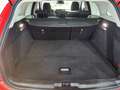 Ford Focus Turnier 1,5 EcoBlue Active *3 Jahre Garantie Rot - thumbnail 29