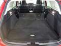 Ford Focus Turnier 1,5 EcoBlue Active *3 Jahre Garantie Rot - thumbnail 30