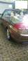 Ford Focus CC Focus Coupe-Cabriolet 2.0 16V Titanium - thumbnail 5