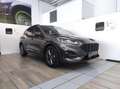 Ford Kuga 3ª serie - Kuga 2.5 Full Hybrid 190 CV CVT 2WD ST- Grigio - thumbnail 1