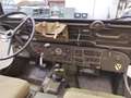 Jeep Willys Green - thumbnail 13