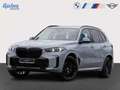 BMW X5 xDrive40d M Sport/AHK/Standhz Gris - thumbnail 1