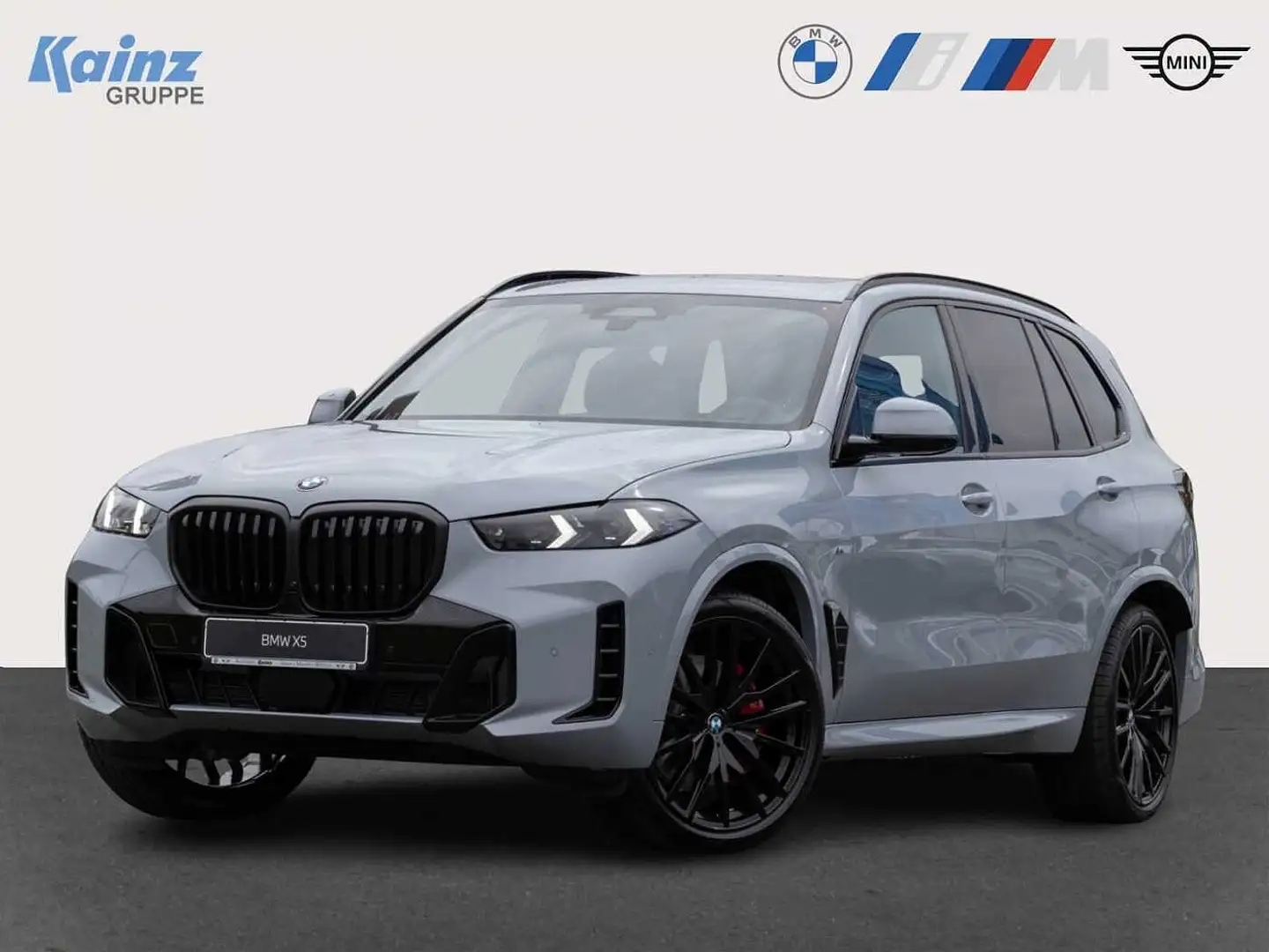 BMW X5 xDrive40d M Sport/AHK/Standhz Gris - 1