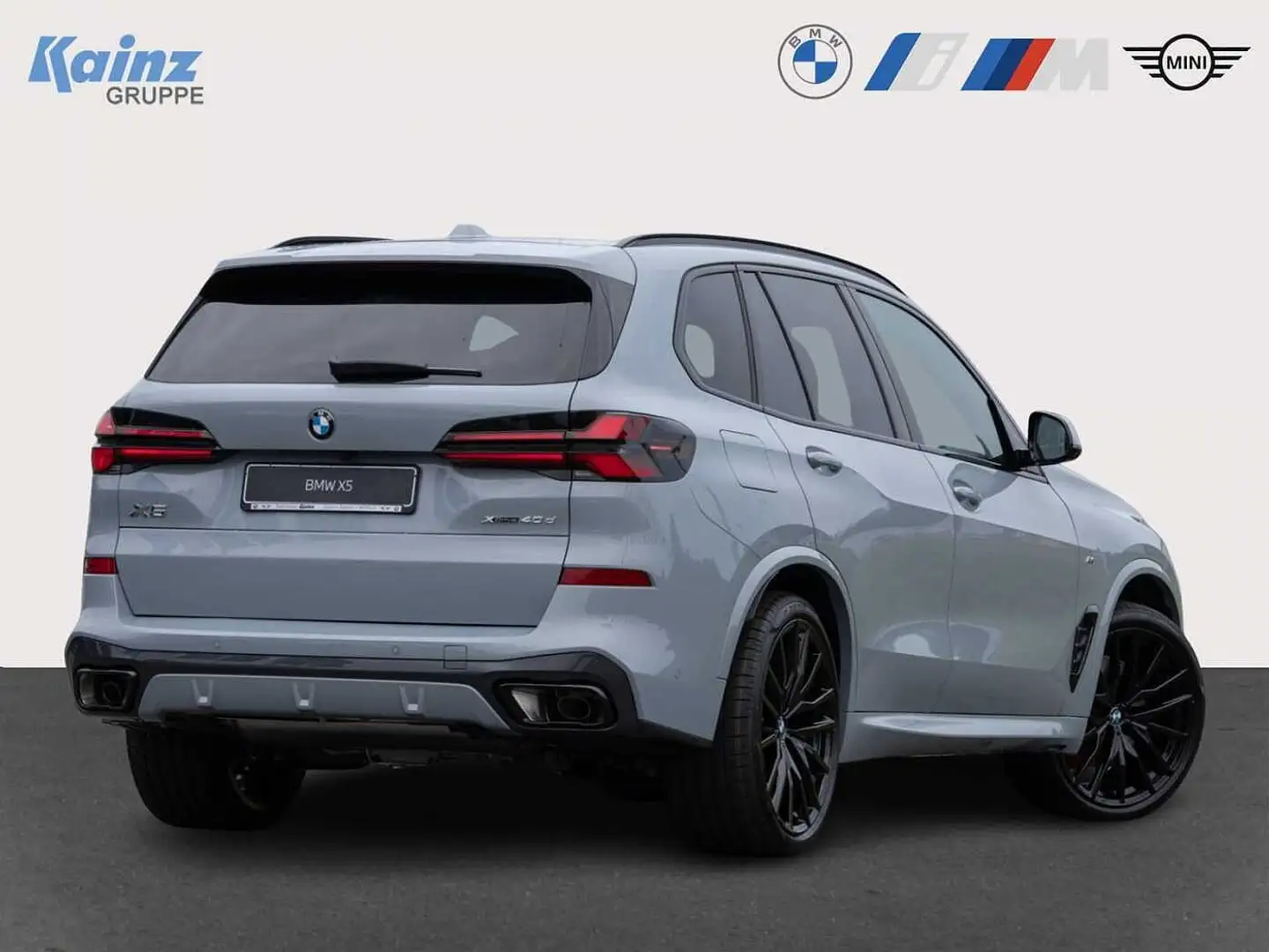 BMW X5 xDrive40d M Sport/AHK/Standhz Gris - 2