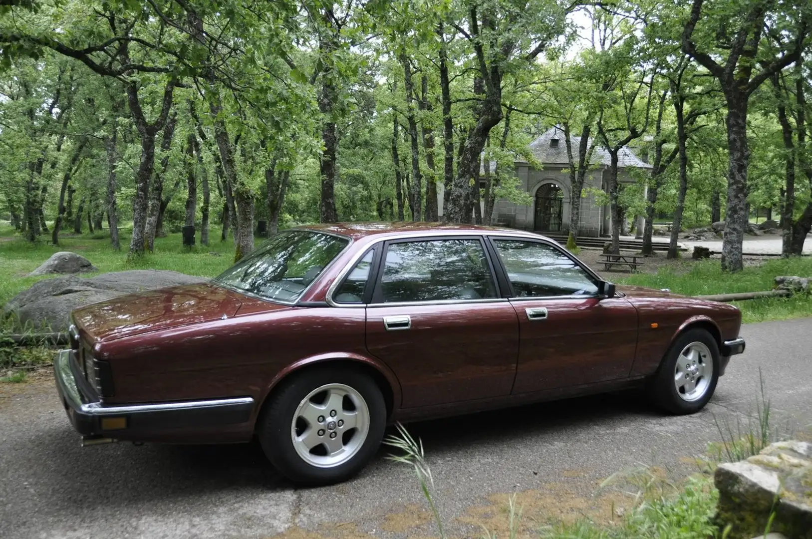 Jaguar XJ6 XJ6 3.2 Manual Rouge - 2