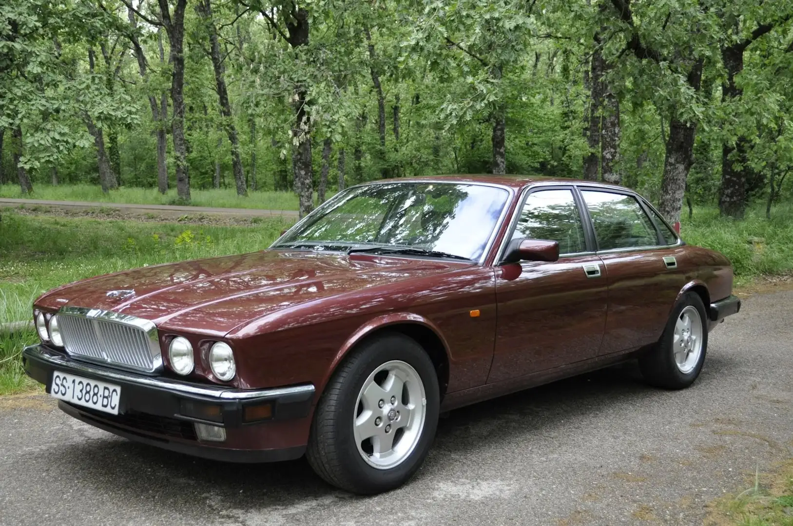 Jaguar XJ6 XJ6 3.2 Manual Rouge - 1