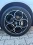 Alfa Romeo Spider Spider 2.0 jdm 170cv Bianco - thumbnail 13