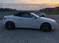 Alfa Romeo Spider Spider 2.0 jdm 170cv Bianco - thumbnail 4