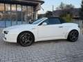 Alfa Romeo Spider Spider 2.0 jdm 170cv Bianco - thumbnail 3