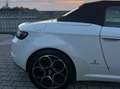 Alfa Romeo Spider Spider 2.0 jdm 170cv Bianco - thumbnail 6