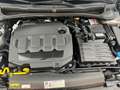 Volkswagen Polo Polo 5p 1.6 tdi Trendline 80cv Gris - thumbnail 27