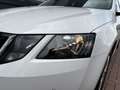 Skoda Octavia Combi 1.5 TSi 150pk DSG Business Edition CAMERA/VI Wit - thumbnail 48