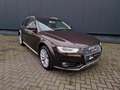 Audi A4 allroad quattro 2.0 TDI Pro Line Aut. Bruin - thumbnail 34