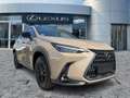Lexus NX 350h Overtrail Pano*HUD*Navi Beige - thumbnail 8