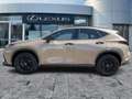 Lexus NX 350h Overtrail Pano*HUD*Navi Beige - thumbnail 4