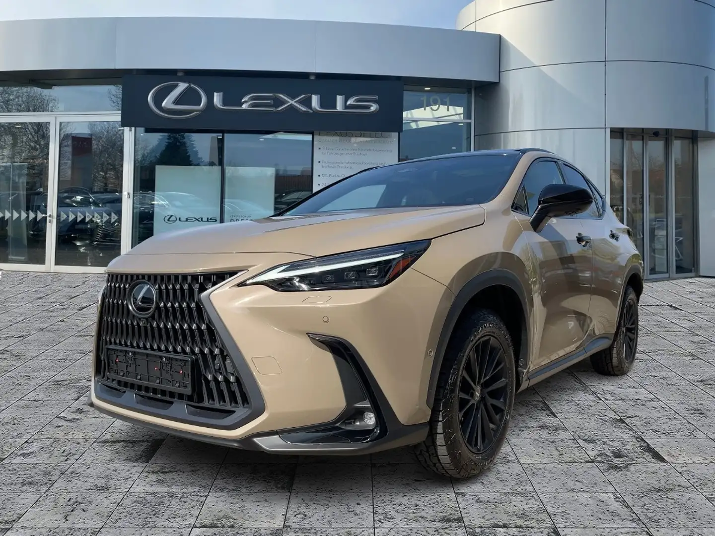 Lexus NX 350h Overtrail Pano*HUD*Navi Beige - 2