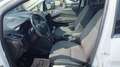 Ford C-Max Titanium Weiß - thumbnail 15
