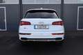 Audi SQ5 3.0 TFSI quattro/PANO/B&O/WIFI/4xSHZ/ACC/R19 Weiß - thumbnail 4