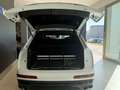 Audi SQ7 TDI quattro tiptronic Blanco - thumbnail 10
