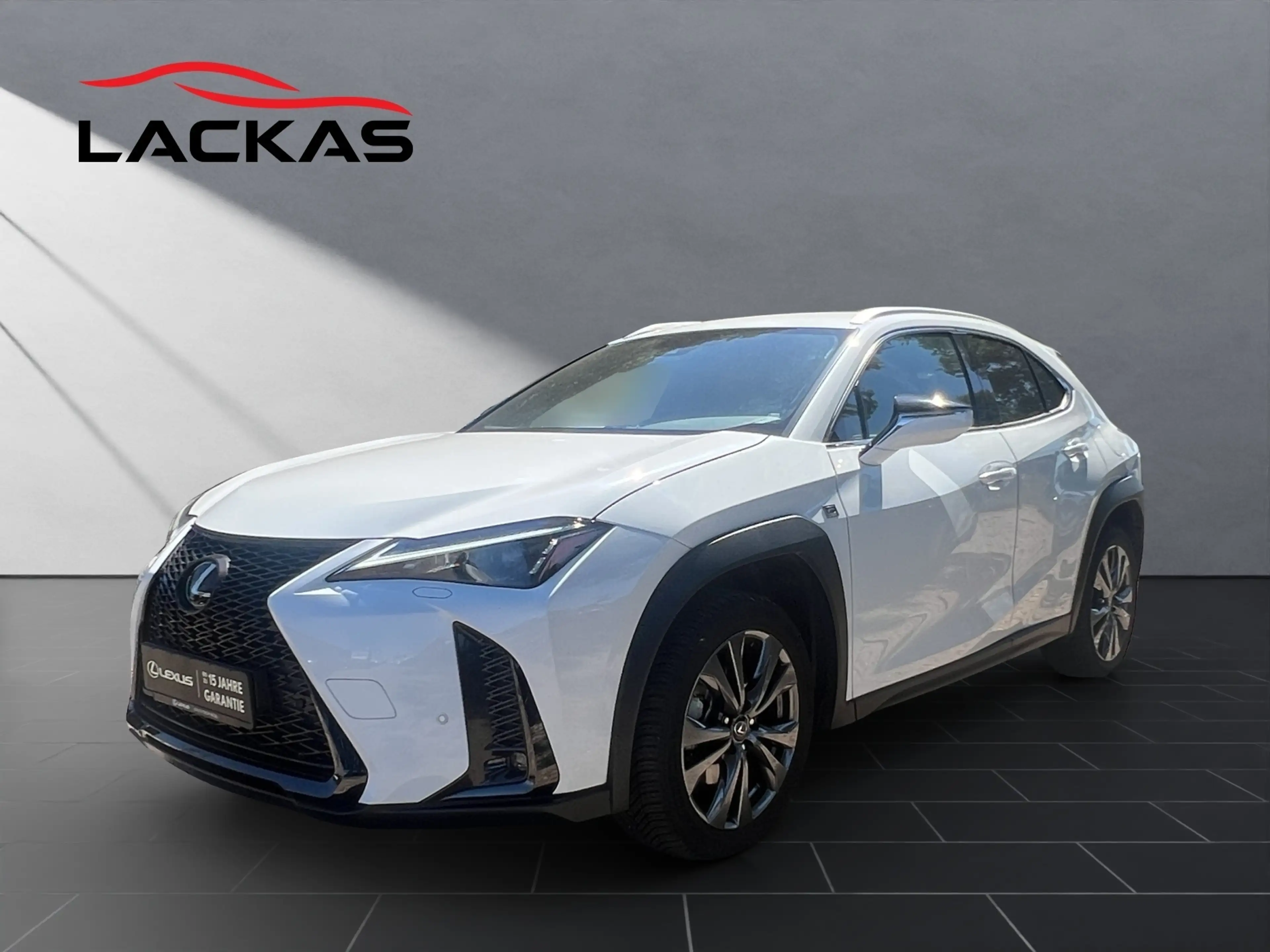 Lexus UX 250h 250 h F-Sport Design NAVI+CARPLAY+LENKRADH.