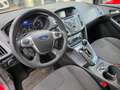 Ford Focus Titan 1,6 Tdci wenig KM 1. Besitz Unfallfrei Rot - thumbnail 7