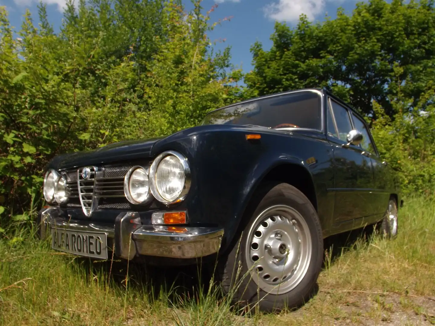 Alfa Romeo Giulia super-ein Leckerbissen für "Alfaristi" !! - 1