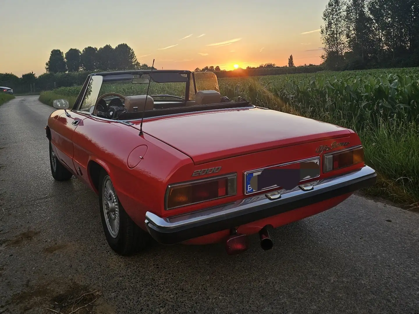 Alfa Romeo Spider Spider coda tronca Rouge - 2