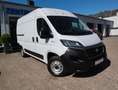Fiat Ducato Fiat Ducato Kasten 350 L2H2 Tempomat/NAVI/Kamera Weiß - thumbnail 20