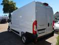 Fiat Ducato Fiat Ducato Kasten 350 L2H2 Tempomat/NAVI/Kamera Weiß - thumbnail 15