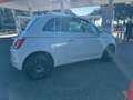 Fiat 500 1.2 Collezione 69cv dualogic my19 - thumbnail 4
