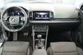 Skoda Karoq Style 4x4 2.0 TDI DSG AHK/MATRIX-LED/KAMERA Grau - thumbnail 27