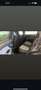Fiat Punto Evo 5p 1.4 Emotion Gpl 77cv - thumbnail 6