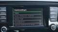 Skoda Octavia Combi 1.2 TSI 105pk Ambition Businessline Navi Cli Bleu - thumbnail 12