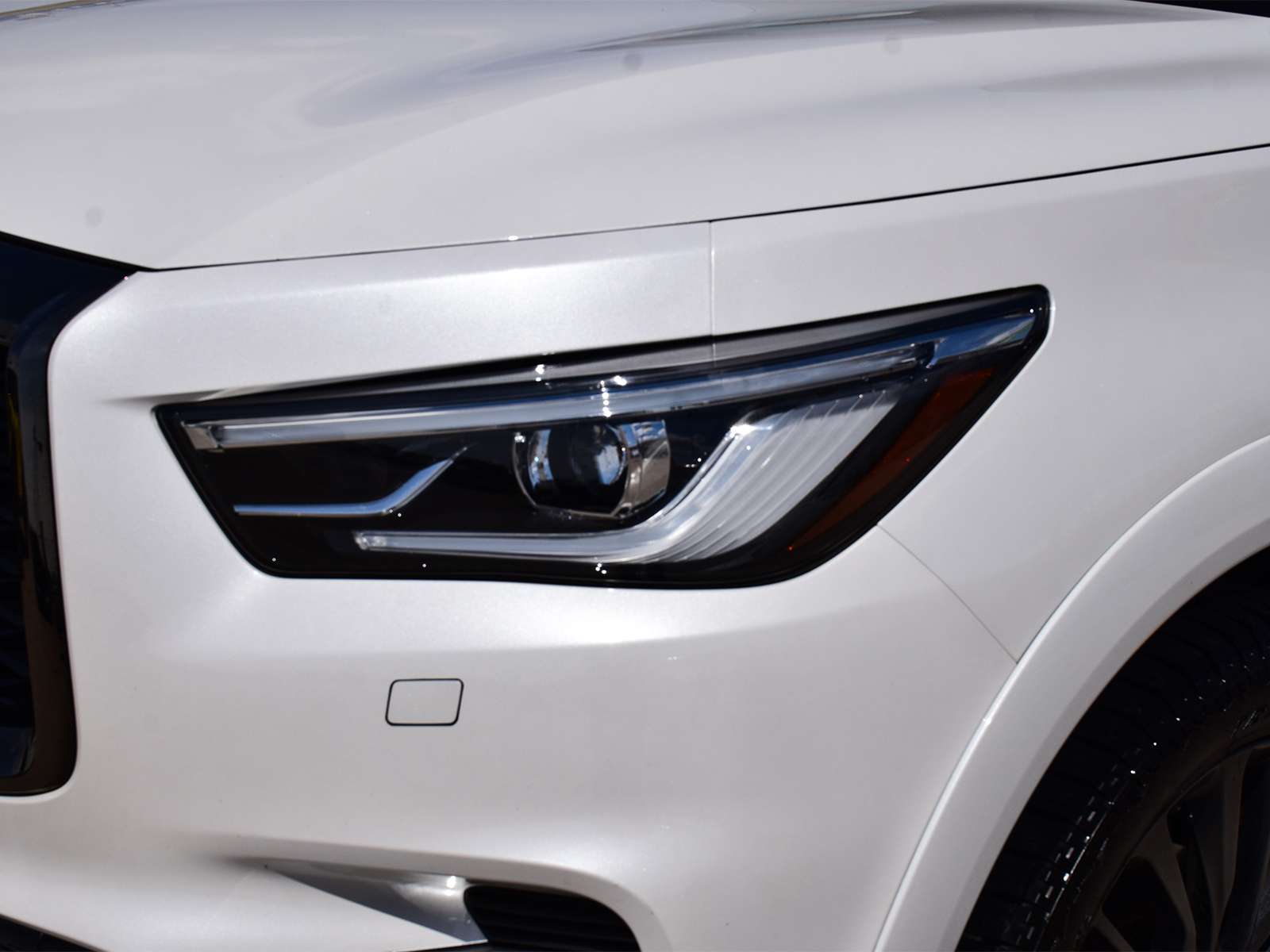 2023 Infiniti QX80