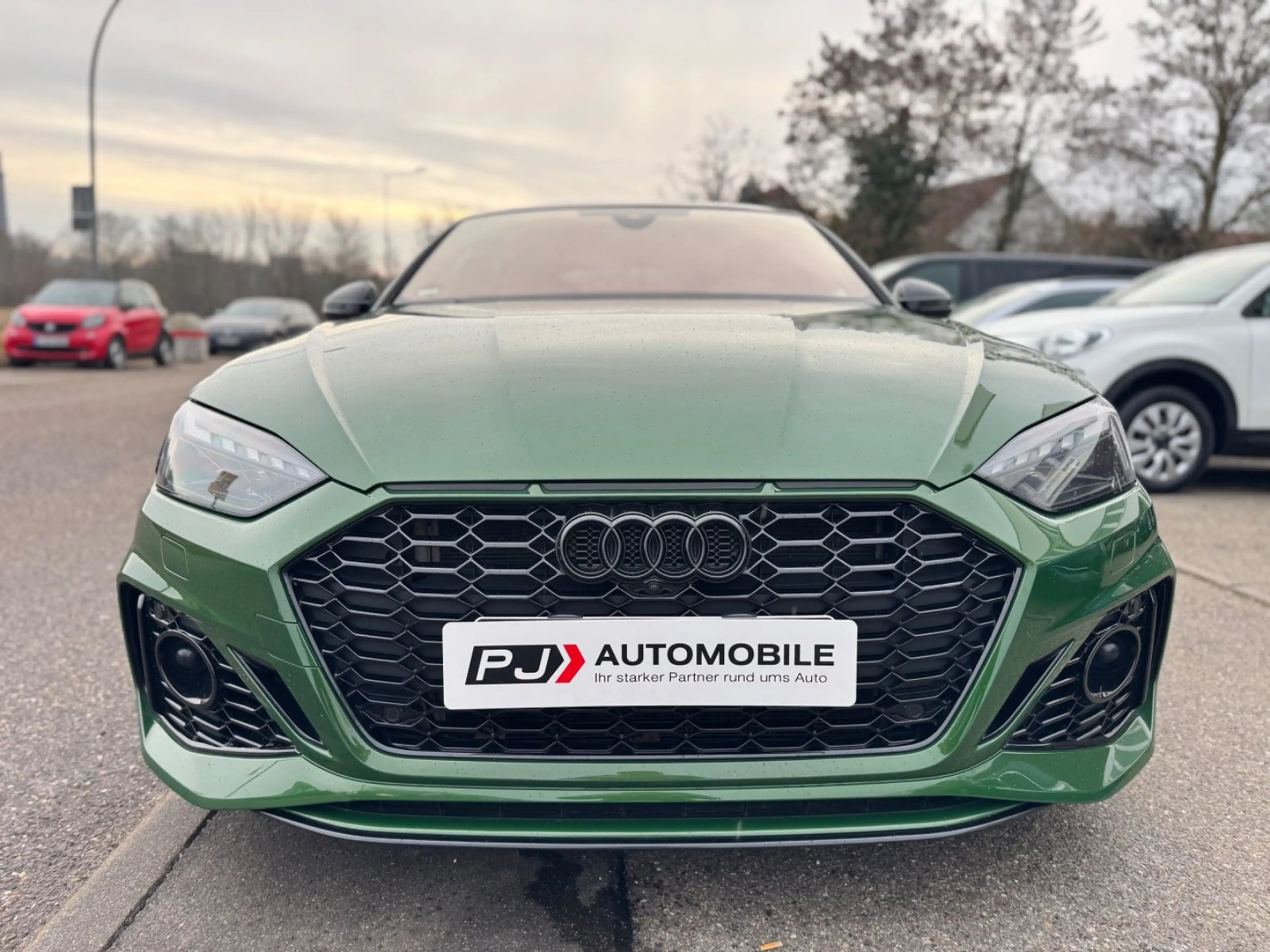 Audi RS5 Sportback 2.9 TFSI q. Pano Matrix 360° Dynam — photo 9