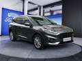 Ford Kuga 2.5 PHEV ST-LINE X*iACC*ADAPTLED*NAVI*WINTERPAKET* Gris - thumbnail 17