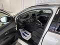 Peugeot 3008 BlueHDi 130  EAT8 Allure BIANCO PERLA TETTO NERO Bianco - thumbnail 6